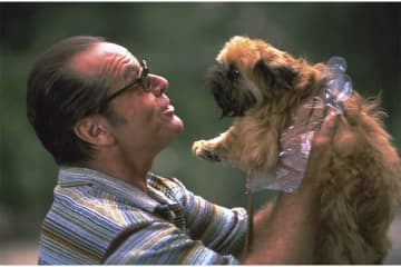 犬を飼ったら人生変わった！ ジャック・ニコルソン演じるアウトな小説家に訪れる人生の転機