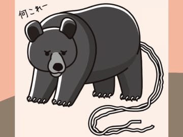 クマには寄生虫が住んでいる？ おしりに見える“白いひも”の秘密とは【眠れなくなるほど面白い 図解 クマの話】