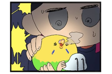 セキセイインコのカチョ。留守中のごはんとダイエット中の食糞問題！【鳥マンガ #142】