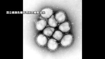 東京都がインフルエンザ注意報を発表…1医療機関あたりの感染者が基準の10人超える