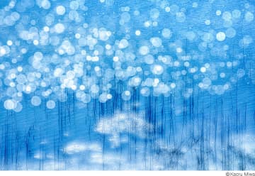 カメラで日本画を描く！ 和紙プリントで繊細に表現した三輪薫写真展「風の香り」〜日本のこころの自然風景と花〜