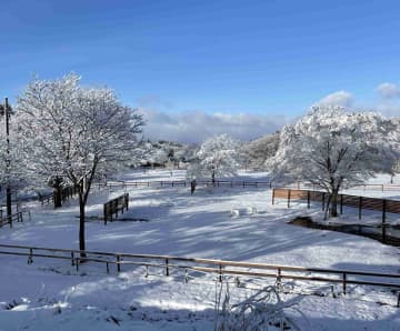 「雪国グランピング」2025年12月よりスタート！SnowPeakと隈研吾氏共同開発のモバイルハウス「住箱-JYUBAKO-」での宿泊と雪中バーベキュー＆雪中サウナ　山形・南陽市で雪の中のバーベキューや雪でととのうサウナ、そして雪国でしかできない冬のアウトドア体験