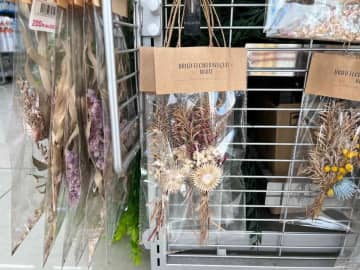 【ダイソー映え雑貨】おすすめ「ドライフラワー」6選！部屋が一気に垢抜ける！おしゃれな活用術も