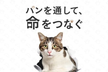 命を守る温かなつながり！武蔵小杉で「保護猫譲渡会＆ヴィーガンマルシェ」11/1開催！パンの売上は全額保護猫へ寄付
