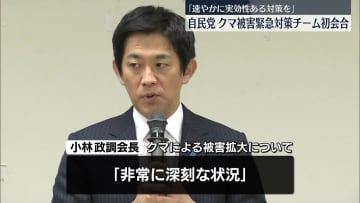自民党、クマ被害緊急対策チーム立ち上げ