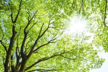 退職金なしの現実に直面して気づいた「自分の将来を守るのは自分」、失業中でもiDeCoへの決意あらたに