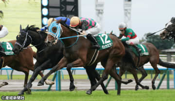 【ファンタジーＳ】優勝馬は１・２戦馬からしか出ていない!? 過去10年の傾向から考える攻略ポイント！