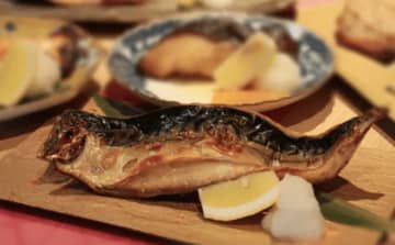 まぐろ問屋直営の新業態！「二代目マル城 横浜平沼店」11/24オープン！規格外・未利用魚を活用した“進化形”大衆酒場！