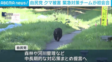 自民党 クマ被害 緊急対策チームが初会合