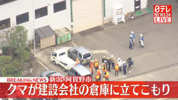 クマが建設会社の倉庫に　新潟・阿賀野市