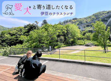 【ブロガー必見！】“癒やしのドッグテラス”誕生！　狩野川と天城連峰を望む開放的なカフェスペース“ペット同伴”ランチスポットが話題　道の駅 伊豆月ケ瀬