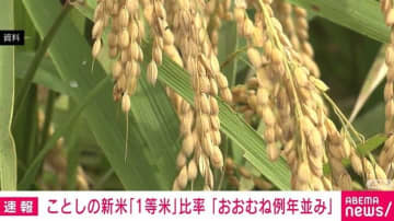 2025年産米「1等米」の比率77%、高温・水不足も例年並み 農水省発表