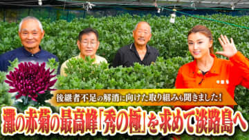 灘の赤菊の最高峰｢秀の極｣を求めて藤原紀香が淡路島へ 灘花卉部会の生産者の方々と淡路島の食材でゆる飲み