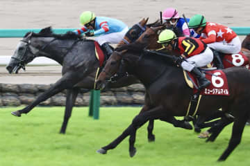 ミュージアムマイルは天皇賞を制するか？　安藤勝己氏が指摘していた「能力」と「弱点」