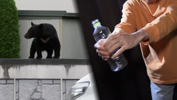 過去最悪12人死亡“熊災害”警察官がライフル銃で駆除へ　クマ対策に「空のペットボトル」自然界にない「ペコペコ音」で撃退か