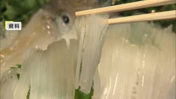 採れすぎも困る…スルメイカ漁「小型船」で初の停止命令…漁獲枠大きく超過　底引き網などほかの漁法は上限達せず