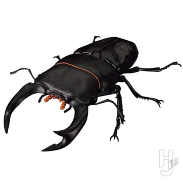 日本在来種で一番人気のオオクワガタが「クワガタ02」にラインナップ／羽毛が生えた「ヴェロキラプトル」などのデフォルメの恐竜も「いきもの大図鑑」に仲間入り【ガシャポン®最新情報】