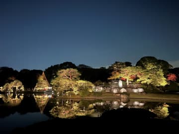 夜遊びが変わる！はとバスが「紅葉ライトアップ特別観賞」＆「エンタメショー復活」など冬のナイトツアーを大幅拡充！