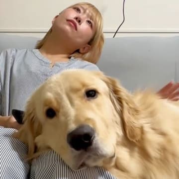 大型犬に膝枕をしてあげる女性→撫でるのをサボっていたら…まるでカップル？人間味あふれる行動が147万再生「彼氏系犬ｗ」「なんか泣けた」
