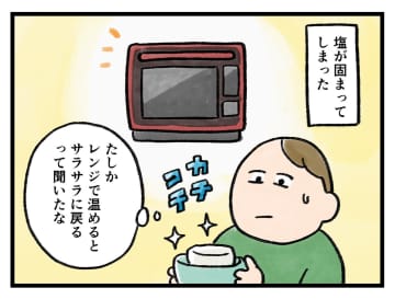 「こうするしか。。。」塩との闘いの結末【アラサー主婦のあるある日記】