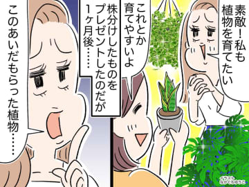 うちの観葉植物を見て「素敵！ 私にもちょうだい♡」友人に株分けして贈るも →『悲しい結末』に