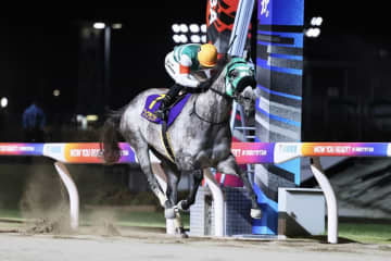 【BCフィリー＆メアスプリント】大井・フェブランシェが無念の出走取消