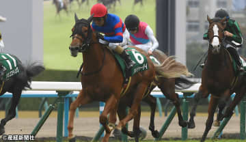 【ファンタジーＳ】穴狙いなら断然３月生まれ！ 過去10年の傾向から見る波乱の主役となり得る馬とは