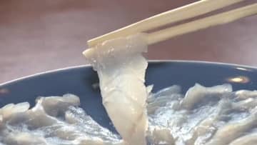 黒潮大蛇行がもたらした新名物「トラフグ」　終息で今後はどうなる？　カレイにはすでに影響も　福島の海のいま