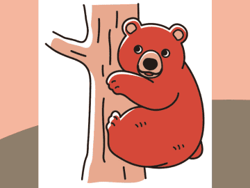 事前の情報収集と複数人で行動すること！ クマから命を守る第一歩とは【眠れなくなるほど面白い 図解 クマの話】