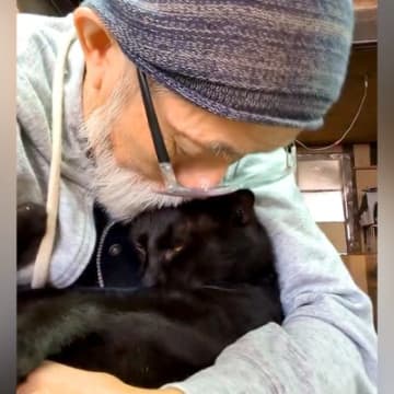 朝、黒猫を抱っこした結果→まるで赤ちゃんのようで…愛にあふれた『幸せなひととき』が72万再生「本当に素敵」「まるでアニメの世界」と話題