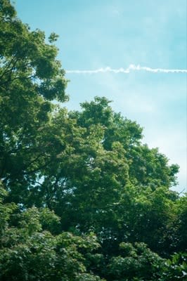 まーちん写真展：記録と記憶～共に撮った記録が記憶になる日まで～