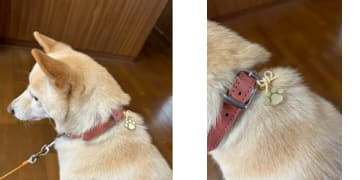 家族の一員に贈る小さなお守り 福島八幡宮が願う“ペットと生きる幸せ”