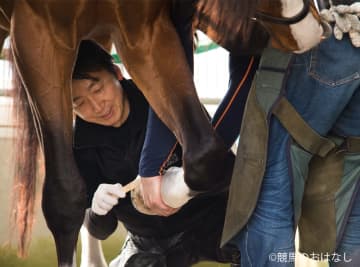 【装蹄師・西内荘コラム】メイショウタバルと迎える天皇賞、そしてJBCへ