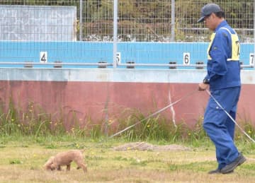 警察学校で嘱託警察犬審査会　43頭が訓練の成果披露　茨城県警