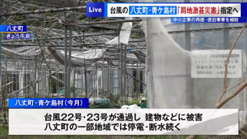 台風の八丈町・青ケ島村「局地激甚災害」指定へ　中小企業の再建・復旧事業を補助