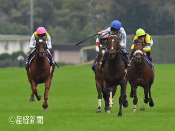 【天皇賞（秋）】1着固定できる馬の条件とは！？3連単的中させる軸馬の狙い方