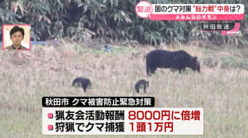 警察官が「ライフル銃」でクマ駆除？　8省庁の“総力戦”…国の対策の中身　ペットボトル1つでできる策も【#みんなのギモン】