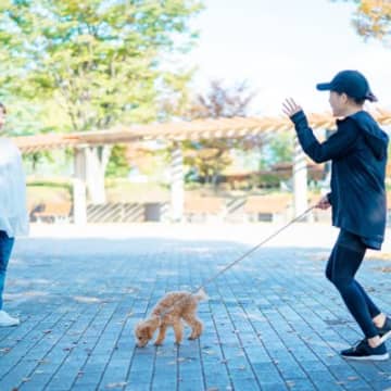 犬との初対面で絶対にしてはいけない『間違った挨拶』3選　避けるべき理由と正しいアプローチ方法