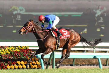 パンサラッサ 天衣無縫の逃げがのちの世界最強馬を追い詰める【もうひとつの名勝負伝説】