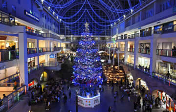 5万個の光ツリー照らす、札幌　一足先にクリスマス雰囲気