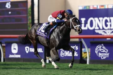 【BCジュベナイルターフスプリント】サイフェアが史上2頭目の牝馬制覇…ブリーダーズカップ開幕戦を制す