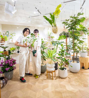 原宿・表参道さんぽのおすすめ6スポット。いつだって刺激的な街で、自分らしい宝探し