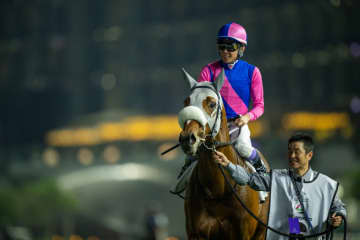 【天皇賞・秋】武豊メイショウタバルは8枠13番