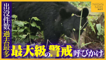 「クマをなぜ殺す」「山に帰せたのでは」“出没件数”過去最多の新潟　“最大級の警戒”呼びかけも駆除後に問い合わせや批判の電話