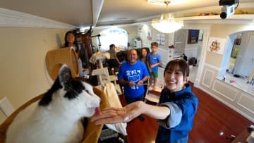 保護猫・モンローの人なれに芳根京子が大活躍！1分30秒の“奇跡”にラミレスは「アメージング、私できない…」
