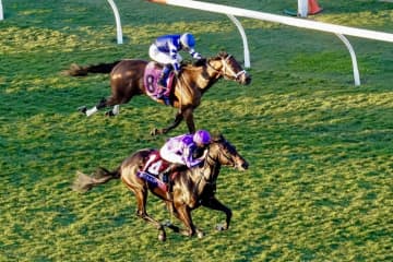 【BCジュベナイルターフ】木村和士騎乗の伏兵スタークコントラストが2着…スミヨン騎乗のグスタードが人気に応える