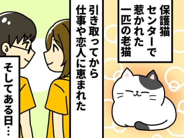 【ブラック企業でパワハラ】不眠に悩む私 →『一匹の猫』が起こした奇跡とは！？