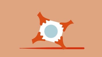 目に「歯」を移植する手術に成功した男性、20年ぶりに視力を取り戻す