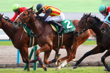 【ファンタジーS】C.デムーロの鮮やかな手綱さばき炸裂…フェスティバルヒルの直線一気決まる