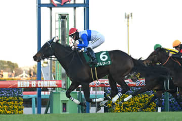 【BCマイル 見どころ】世界屈指の名手デットーリ騎手を背にアルジーヌが大番狂わせを狙う！